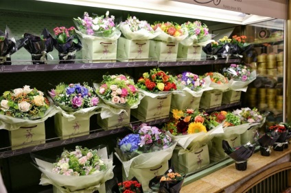 Tud u eladni virágok a 2017-2018 évben, hogy a kereskedelmi felbontású színes szükséges-e