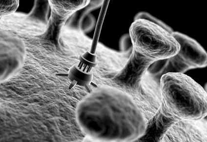 Nanotechnológia vezethet bennünket, hogy egy szebb jövő (lehetőségeit nanotechnológia elkerülni) Nanotechnológia vezethet bennünket, hogy egy szebb jövő