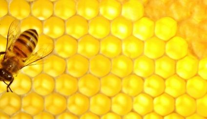 Természetes méz Tyumen - használata a mézet, nyugtató és altató