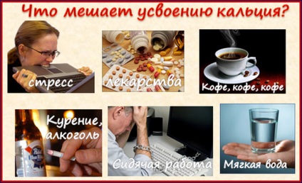 A kalcium hiánya a szervezetben (levelet hiány papír) A kalcium hiánya a szervezetben