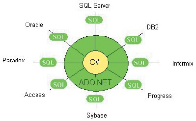 Tudd Intuíció, előadás, adatbázis és XML