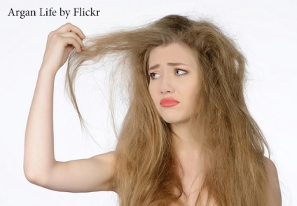 Hair olívaolaj használata és az alkalmazás módja