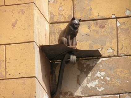 Műemlékek macskák macskaeredetű Budapest