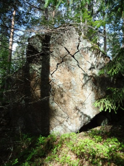 Park Finnországban, arborétum - Mustio, csak az élet