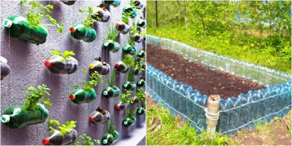 Az üvegházhatást okozó műanyag palackok saját kezűleg, egy gyönyörű ház és kert