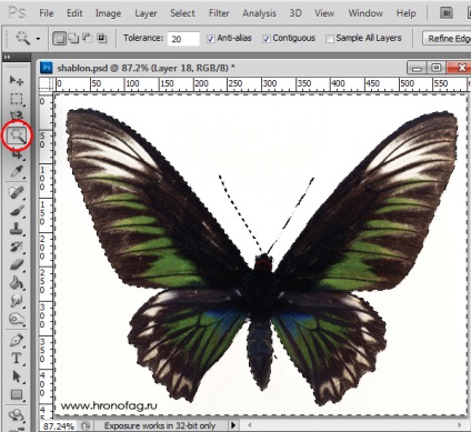 Fordítás raszter-vektor Photoshop (vektor) Fordítás raszter-vektor Photoshop
