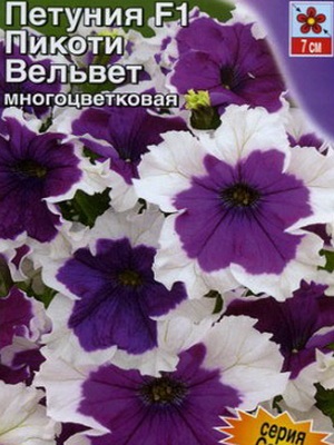 Petunia fotó és leírás a legjobb fajta, a termesztési feltételek petúnia, hogyan kell gondoskodni a virágok (a legtöbb) Petunia fotó és leírás a legjobb fajta, a termesztési feltételek petúnia, hogyan kell gondoskodni virágok
