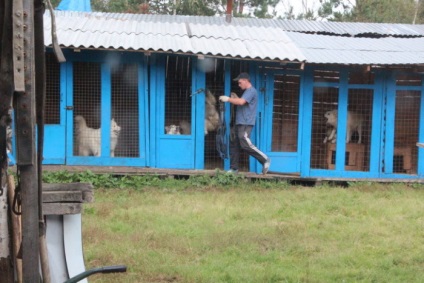 Kennel Elbrus Jekatyerinburgban utunk értékelés (óvoda) Elbrus óvoda Jekatyerinburgban utunk vélemény