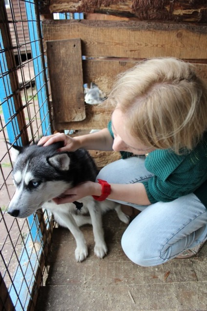 Kennel Elbrus Jekatyerinburgban utunk értékelés (óvoda) Elbrus óvoda Jekatyerinburgban utunk vélemény
