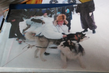 Kennel Elbrus Jekatyerinburgban értékelések mintegy utunk (Elbrusz) Elbrus óvoda Jekatyerinburgban utunk vélemény