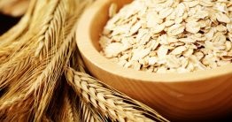 sajt használatra fitness táplálkozás (diétás) sajt használatra fitness táplálkozás