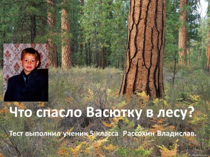 Előadás a mentett az erdőben vasyutku elvégzett teszt osztályos 5 Rassokhin Vladislav