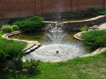 Pond a területen, ügyelve a tó, ötletek