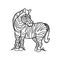 A színezés a zebra