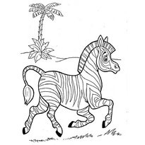 A színezés a zebra