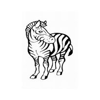 A színezés a zebra