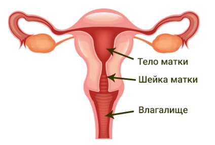hysterocervicorrhexis (1, 2 és 3 fok) a szülés alatt okok és a kezelés (varrat), a hatásai