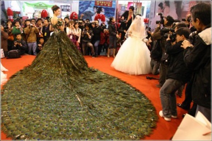Luxus esküvői ruha páva toll $ 1, 5 millió dollárt