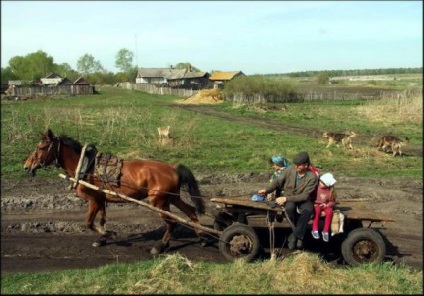 Magyar hátország vidéki reality (hátország) Magyar őserdő vidéki valóság