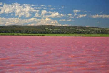 Rózsaszín-tó Altai (Lake) Rózsaszín tó Altai