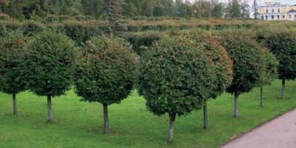 Garden a magyar stílus