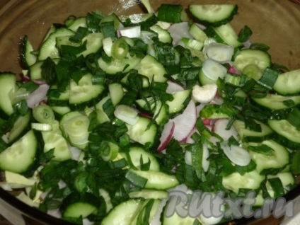 Saláta káposzta, retek, uborka - egy recept egy fotó