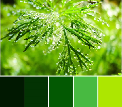 Függöny zöld tapéta - mit válasszon függöny zöld tapéta 55 fotó példákat nappali, hall,