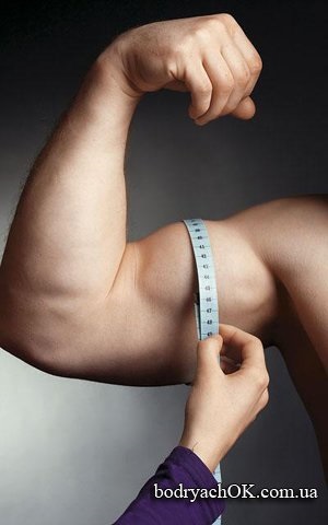 Teljesítmény fitness osztályok, fitness (fitnesz) Teljesítmény fitness osztályok, fitness