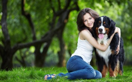 Kutyák pozitívan befolyásolják egészségünket