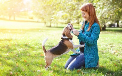 Kutyák pozitívan befolyásolják egészségünket