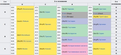 Az ingatlan a genetikai kód (a kód) Az ingatlan a genetikai kód