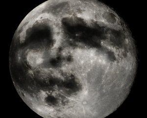 Hold szembe a rejtély megoldódott (fotó)