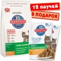 Trixie lager macska egy ablakpárkányon - vásárolnak olcsó Moszkva olcsó online áruház,