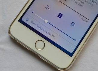 Csíp cydia (pár nappal ezelőtt) csíp cydia