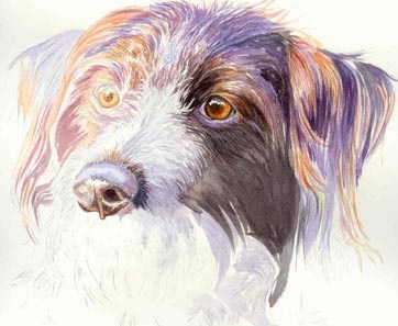 Tanuld meg felhívni a portré kutya akvarell, művész blog