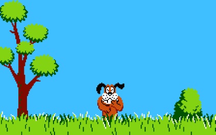 Duck Hunt (hozott a kapu előtt) kacsa vadászat