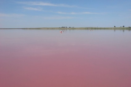 Az Altáj régióban bíbor tó