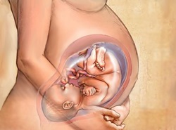 Az alkohol hatásai a koncepció a gyermek és terhes nőknél, és a sperma és potencia férfiaknál