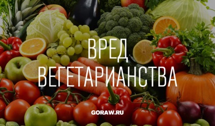 A vegetarianizmus kár (károk) kár vegetarianizmus