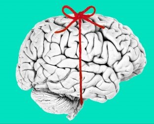 10 egyszerű módszer, hogy a szivattyú az agy és a memória, blog Publishing House „Mann, Ivanov és Ferber”