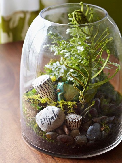 30 szokatlan ötletet a dekoráció vázák alkalmazás