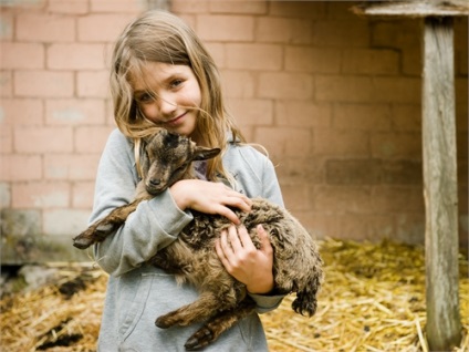 7 hely a külvárosban, ahol a gyerekek léphetnek az állatokkal