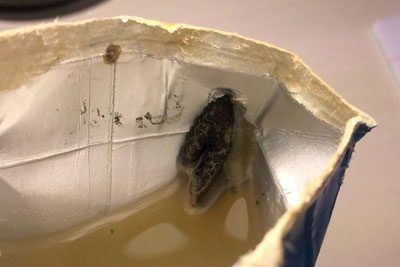 Az aflatoxin mi ez, hogyan befolyásolja a test (lejárati idő) Az aflatoxin mi ez, hogyan befolyásolja a szervezet
