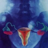 Aloe ha hüvelyi gyulladások - szike - orvosi portál (gyulladás) Aloe hüvelyi gyulladás - szike - orvosi információk és oktatási portál