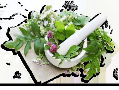 Balsam Root véleménye, ár ( Balsam Root véleménye, ár