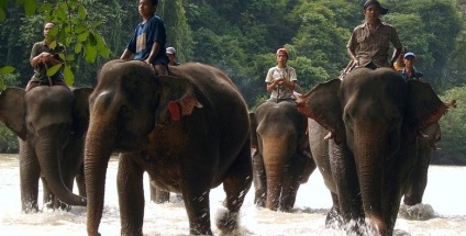 Mit nézzünk meg a Pattaya - hová menjen a saját