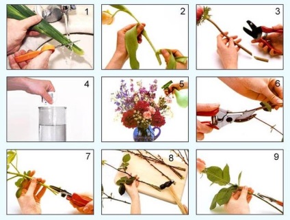 Hogyan készítsünk virágok vázában hosszabb nem fonnyadt