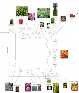 Virágoskert ki egy kombinációt a tűlevelű növények virágok, ami egy gyönyörű kertben