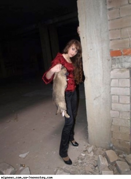 Megölte egy kiskutya egy fotózásra - a társadalom