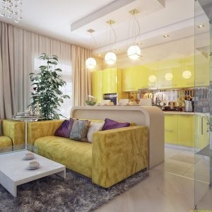 Tervezés egy lakás 40 négyzetméter új áttekintést döntések (40 fotó) (Design) Tervezés egy lakás 40 négyzetméter új áttekintést döntések (40 fotó)
